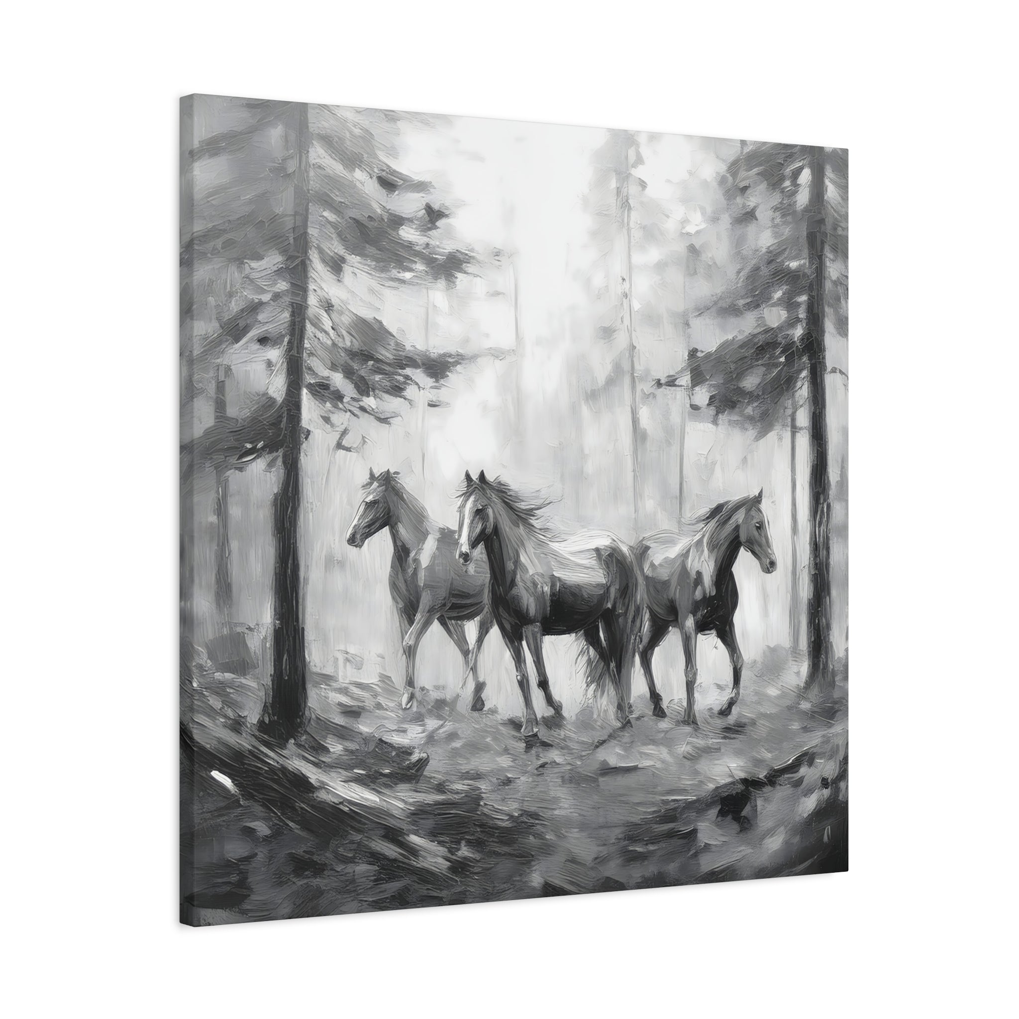 Horses Black and White