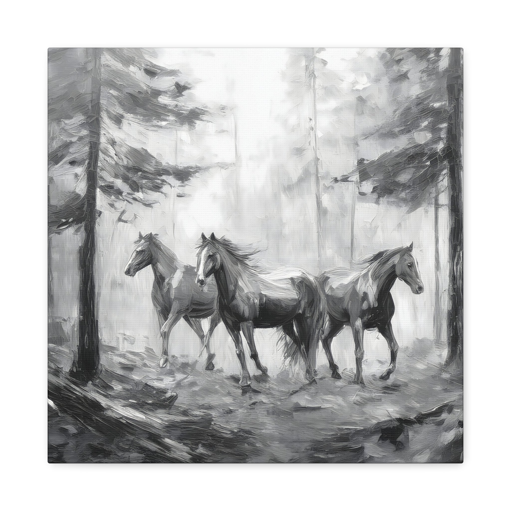 Horses Black and White
