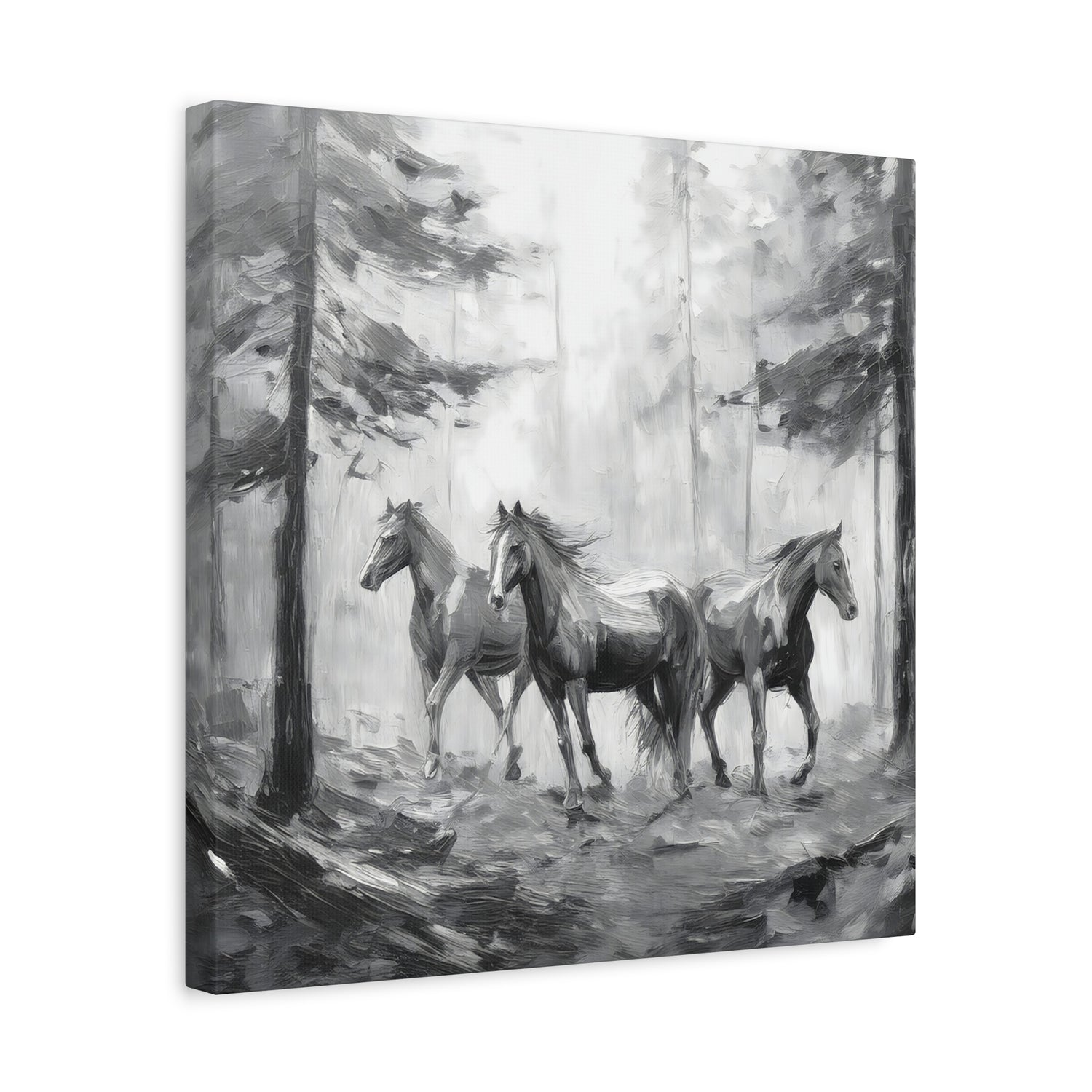 Horses Black and White