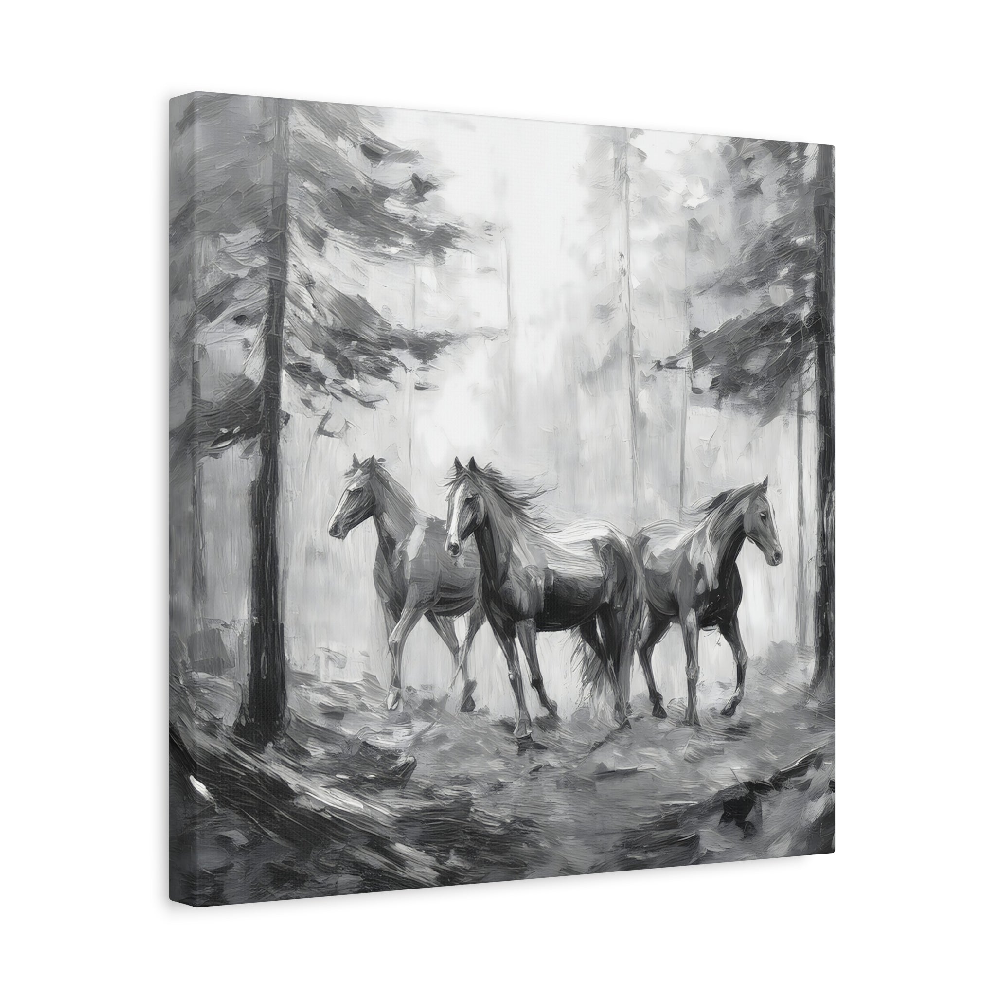 Horses Black and White