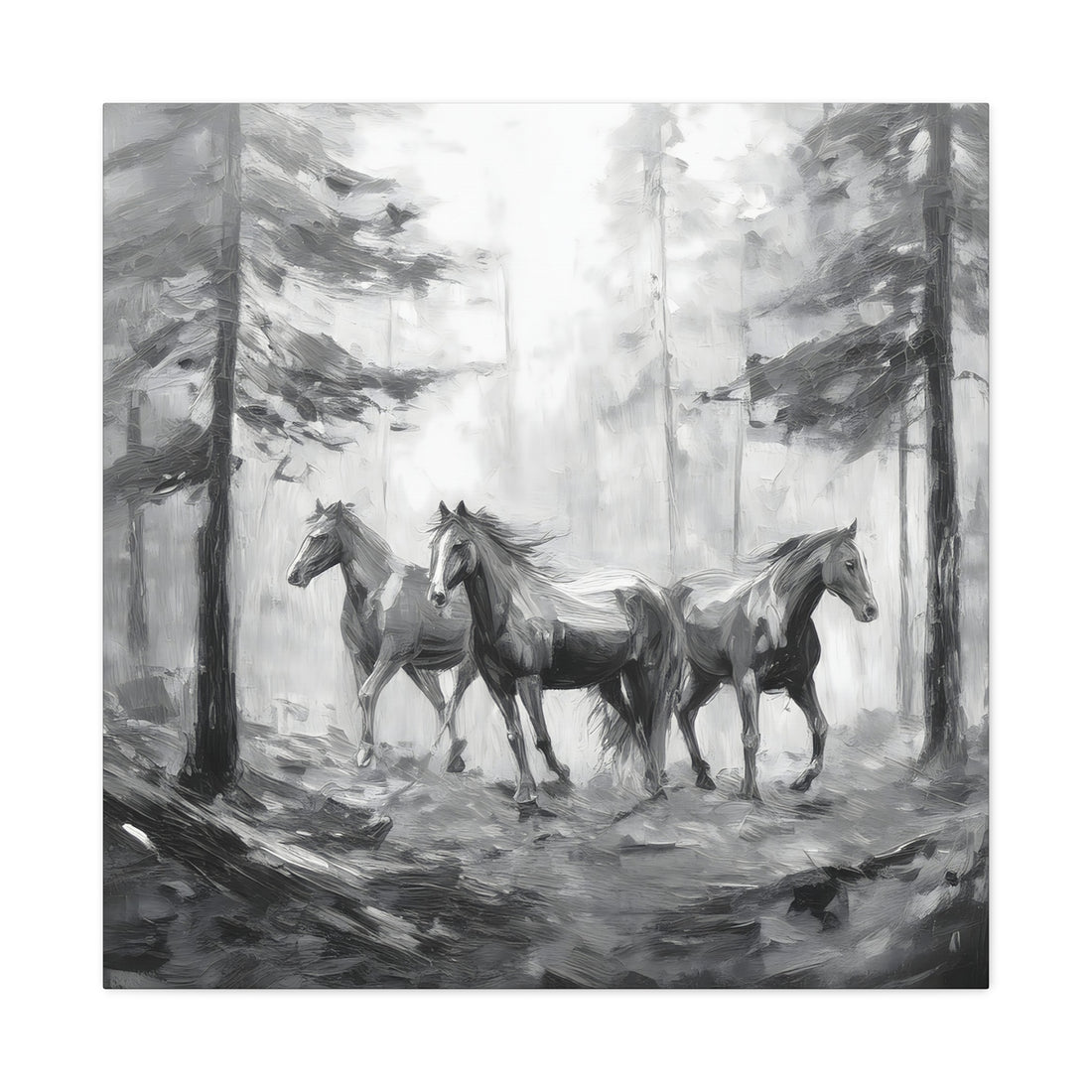 Horses Black and White