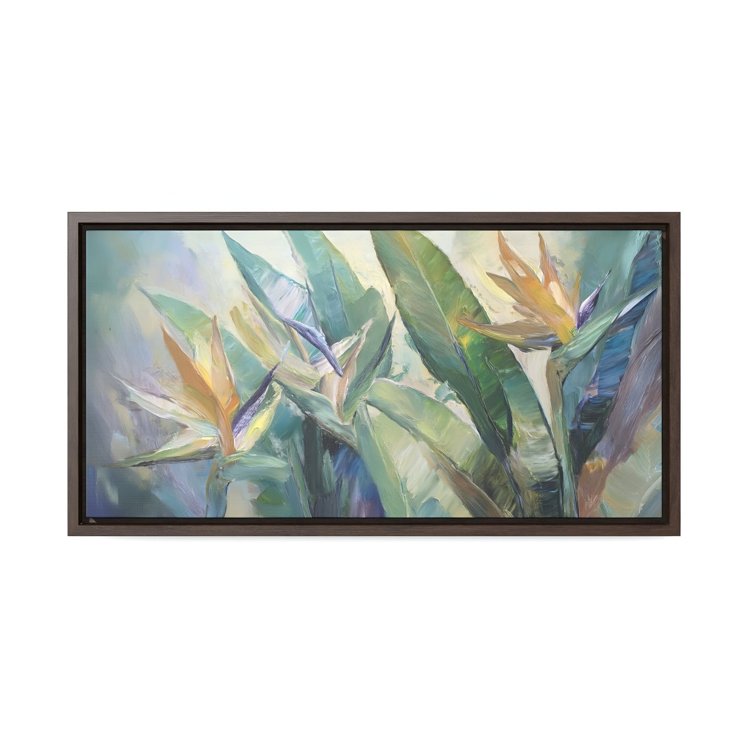 Birds of Paradise