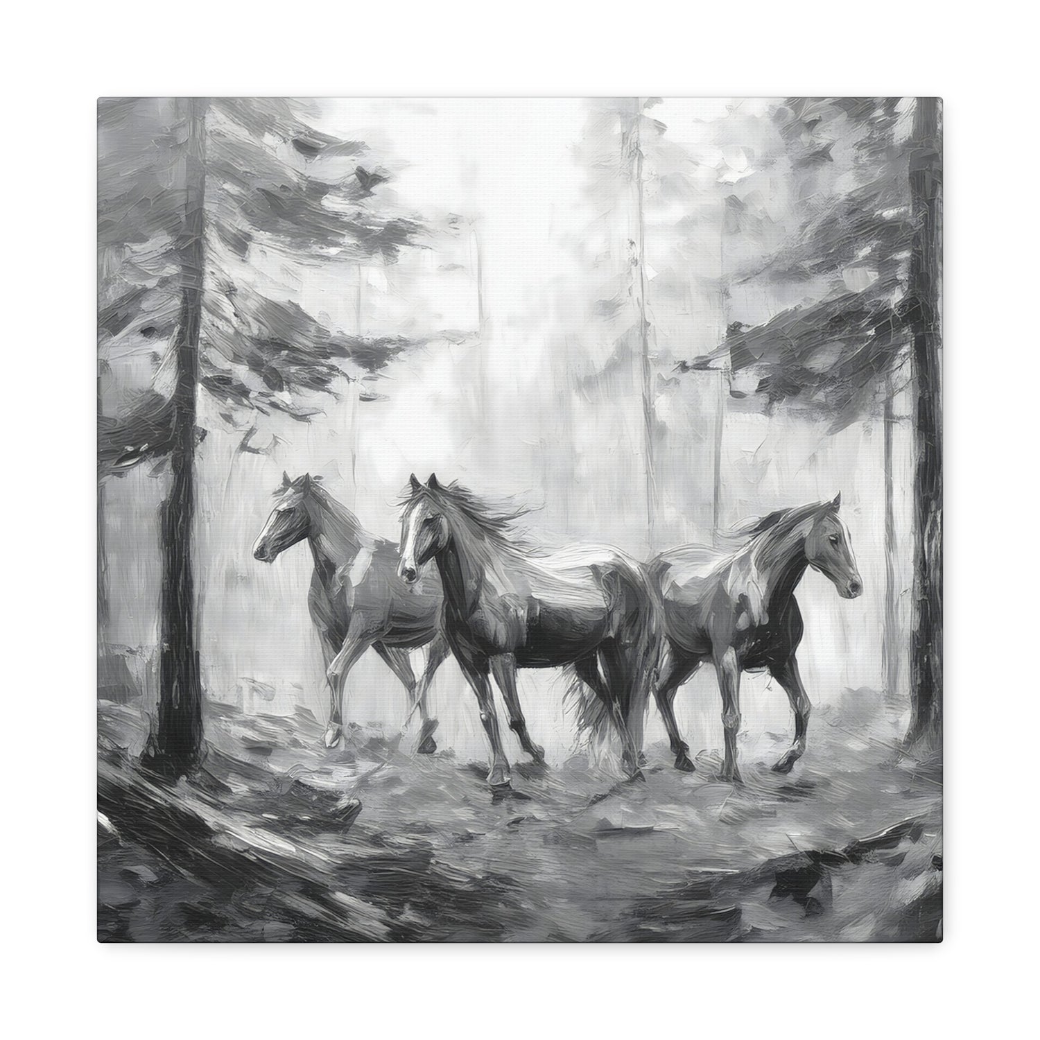 Horses Black and White